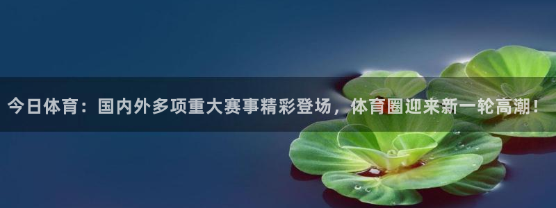 今日体育：国内外多项重大赛事精彩登场，体育圈迎来新一轮高潮！