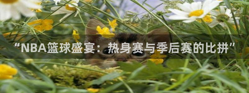 “NBA篮球盛宴：热身赛与季后赛的比拼”