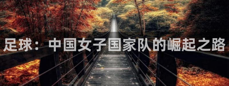 足球：中国女子国家队的崛起之路