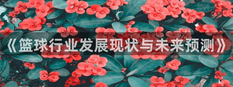 《篮球行业发展现状与未来预测》