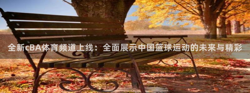 全新cBA体育频道上线：全面展示中国篮球运动的未来与精彩