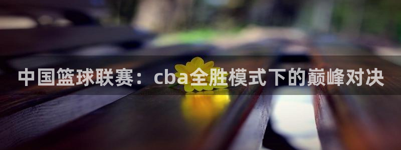 中国篮球联赛：cba全胜模式下的巅峰对决