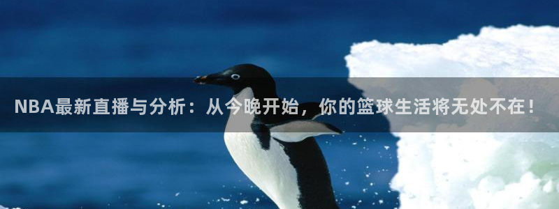 NBA最新直播与分析：从今晚开始，你的篮球生活将无处不在！