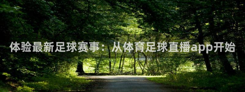 体验最新足球赛事：从体育足球直播app开始