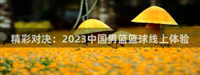 精彩对决：2023中国男篮篮球线上体验
