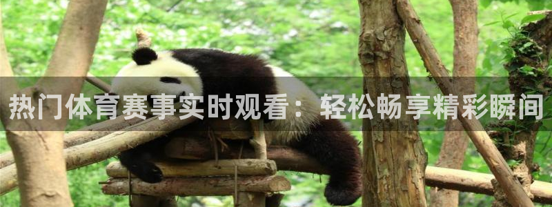 热门体育赛事实时观看：轻松畅享精彩瞬间