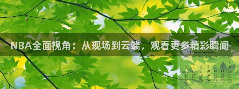 NBA全面视角：从现场到云端，观看更多精彩瞬间