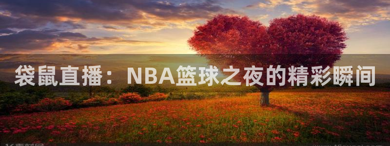 袋鼠直播：NBA篮球之夜的精彩瞬间