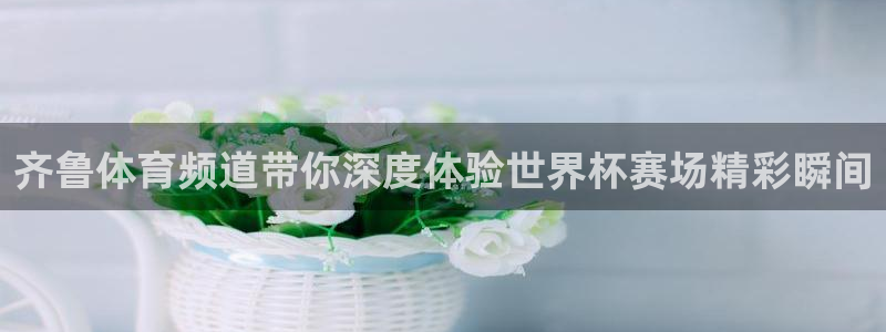 齐鲁体育频道带你深度体验世界杯赛场精彩瞬间