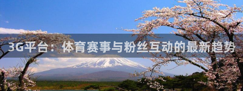 3G平台：体育赛事与粉丝互动的最新趋势
