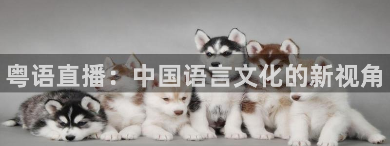 粤语直播：中国语言文化的新视角