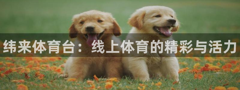 纬来体育台：线上体育的精彩与活力