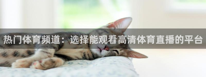 热门体育频道：选择能观看高清体育直播的平台