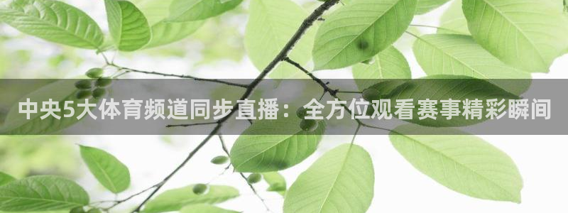 中央5大体育频道同步直播：全方位观看赛事精彩瞬间