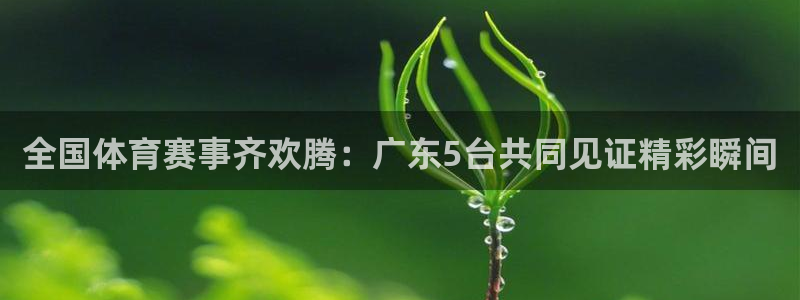 全国体育赛事齐欢腾：广东5台共同见证精彩瞬间