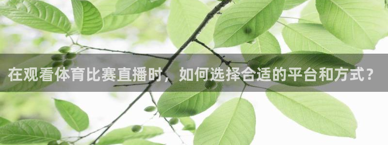 在观看体育比赛直播时，如何选择合适的平台和方式？